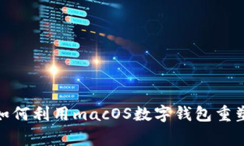 打破常规!如何利用macOS数字钱包重塑生活方式?