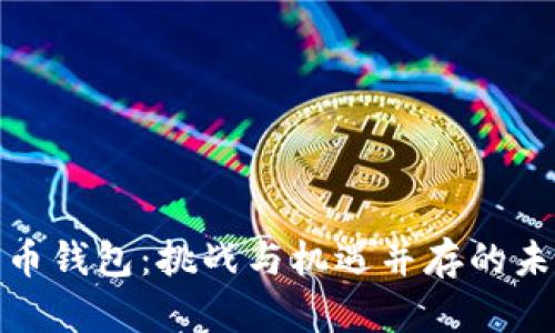 数字货币钱包:挑战与机遇并存的未来之路