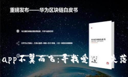 当数字钱包app不翼而飞：寻找爱的与失落的平衡之旅