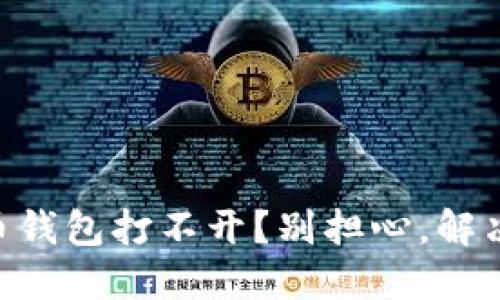 手机数字人民币钱包打不开？别担心，解决方案就在这里！