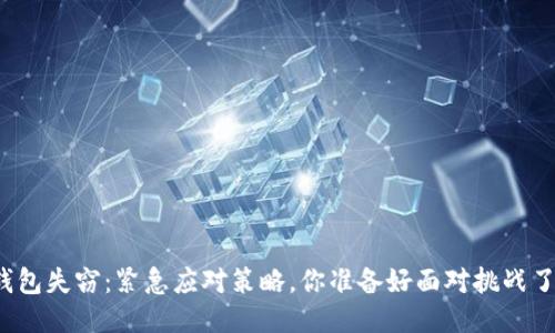 TP钱包失窃:紧急应对策略,你准备好面对挑战了吗?