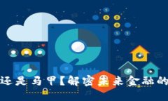 数字钱包还是马甲？解密未来金融的隐形挑战