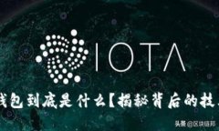 区块链钱包到底是什么？揭秘背后的技术与应用