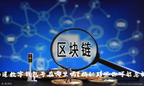 你真的知道数字钱包号在哪里吗？揭秘那些你可能忽视的细节！