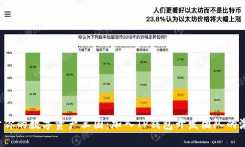 打造属于你的数字资产王国：加入TP钱包开发团队的激动旅程！