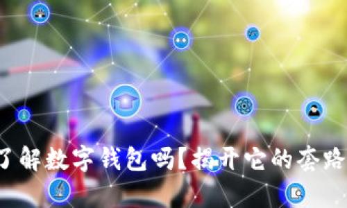 你真的了解数字钱包吗?揭开它的套路与真相!