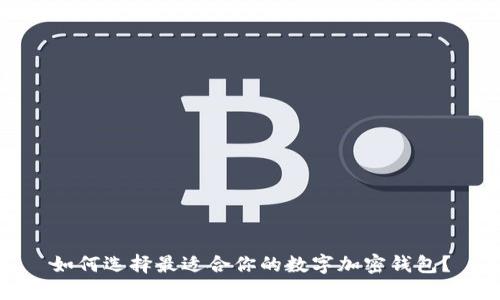 如何选择最适合你的数字加密钱包？