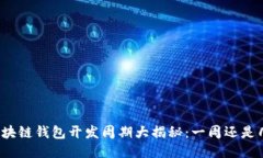 大同区块链钱包开发周期大揭秘：一周还是几个