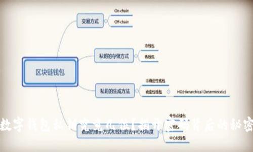 数字钱包私钥究竟几位？揭开密码背后的秘密