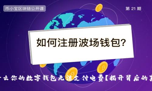 为什么你的数字钱包无法支付电费?揭开背后的真相!