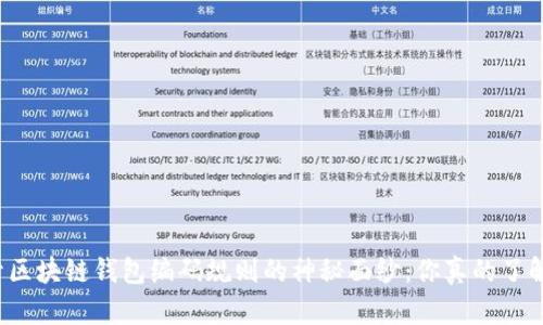 揭开区块链钱包编码规则的神秘面纱：你真的了解吗？