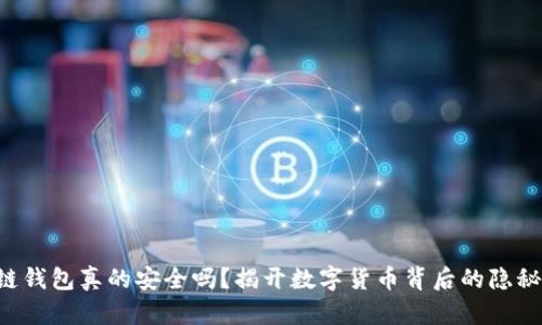 区块链钱包真的安全吗？揭开数字货币背后的隐秘真相！