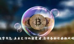 数字钱包：未来支付的颠覆者，您准备好迎接挑