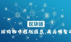 如何在全球购物中摆脱困惑，成为明智的消费者