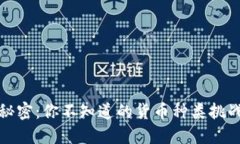 数字钱包里的秘密：你不知道的货币种类挑战传