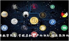 可交易数字钱包：掌握虚拟资产的钥匙，还是陷
