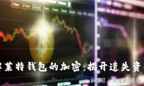 如何破解莱特钱包的加密:揭开遗失资金的迷雾