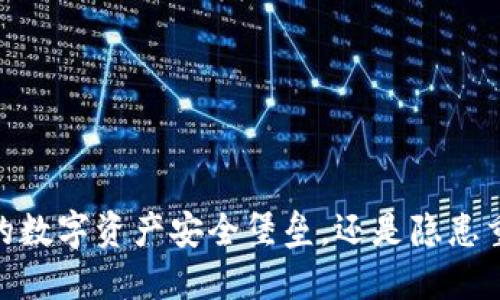 TP钱包：你的数字资产安全堡垒，还是隐患重重的骗局？