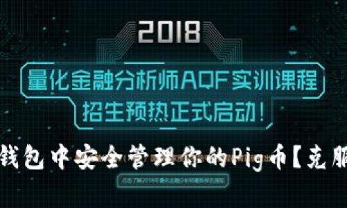 如何在TP钱包中安全管理你的Pig币?克服投资挑战