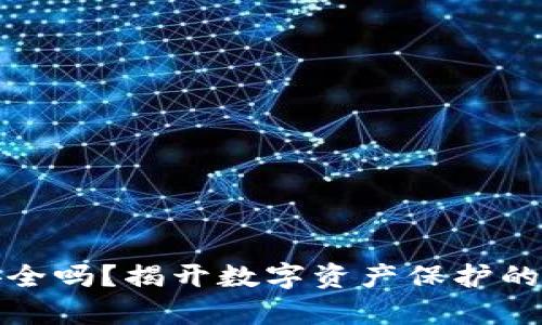 你的钱包安全吗?揭开数字资产保护的真相与挑战