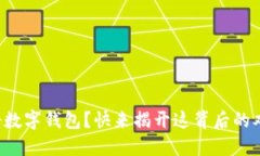 注册数字钱包？快来揭开这背后的难题！