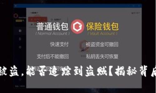 TP钱包被盗,能否追踪到盗贼?揭秘背后的真相