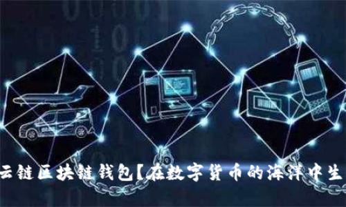 为什么选择云链区块链钱包?在数字货币的海洋中生存还是挣扎?
