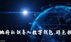 如何安全地将私钥导入数字钱包，避免损失与风