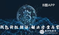 数字人民币钱包升级错误：解决方案与常见问题