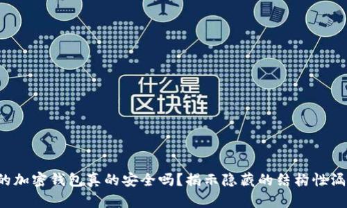 你的加密钱包真的安全吗？揭示隐藏的结构性漏洞！