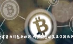 选择最佳数字货币钱包的挑战：哪些钱包能真正