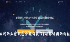 为什么我的加密钱包余额消失了？破解谜团的终