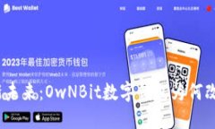 安全与便利的全新未来：OwNBit数字钱包为何改变