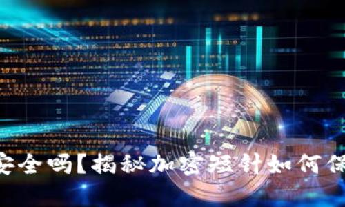 “你的零钱包安全吗？揭秘加密短针如何保护你的财产！”