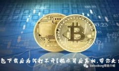 TP冷钱包下载后为何打不开？揭示背后真相，带你