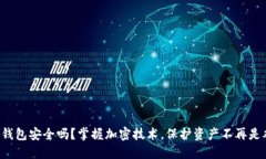你的钱包安全吗？掌握加密技术，保护资产不再