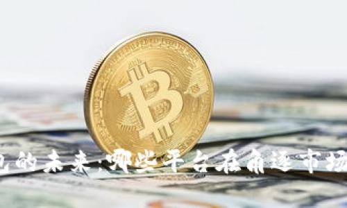 数字钱包的未来:哪些平台在角逐市场的顶端?