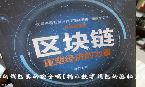你的钱包真的安全吗?揭示数字钱包的隐秘真相!