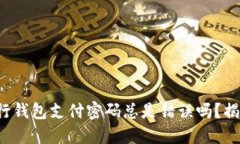 你的数字银行钱包支付密码总是错误吗？揭秘解
