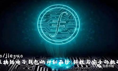 jieguo/jieguo
揭开区块链电子钱包的神秘面纱:科技与安全的挑战之旅