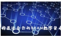 如何选择最适合你的BEAM数字货币钱包？