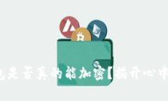 抖音钱包是否真的能加密？揭开心中的疑问！