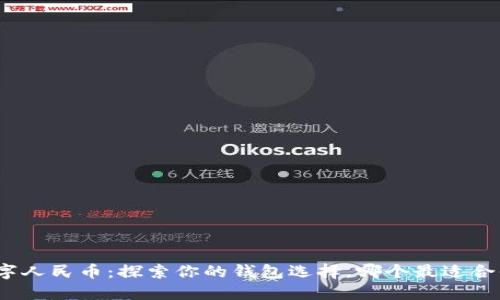 数字人民币:探索你的钱包选择,哪个最适合你?
