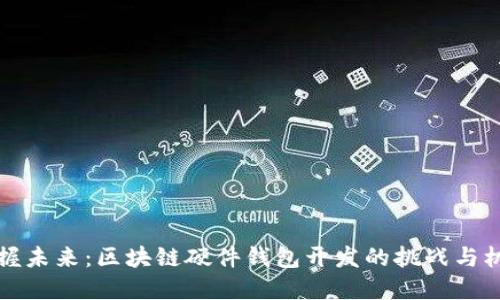掌握未来：区块链硬件钱包开发的挑战与机遇