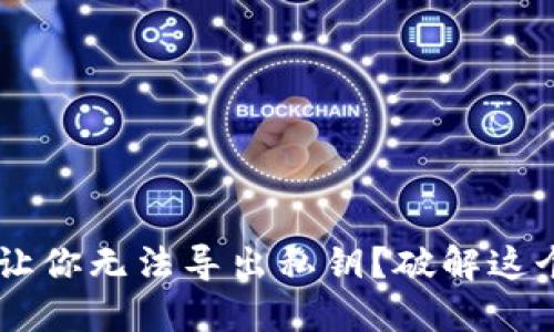 为何 TP 冷钱包让你无法导出私钥？破解这个难题的终极指南