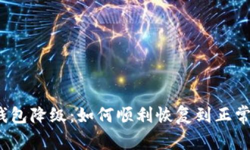 数字钱包降级：如何顺利恢复到正常状态？