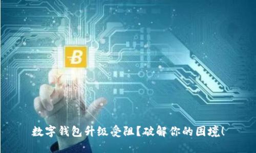 数字钱包升级受阻?破解你的困境!