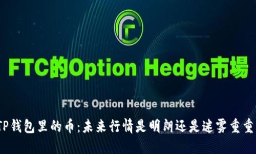 TP钱包里的币：未来行情是明朗还是迷雾重重？
