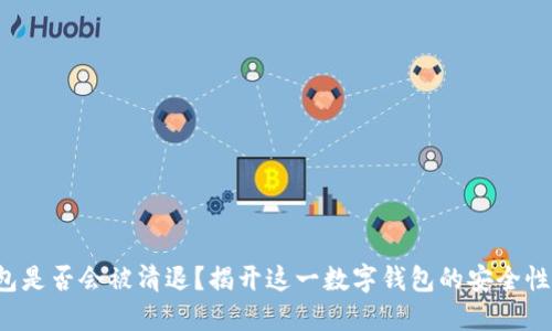TP钱包是否会被清退？揭开这一数字钱包的安全性之谜！