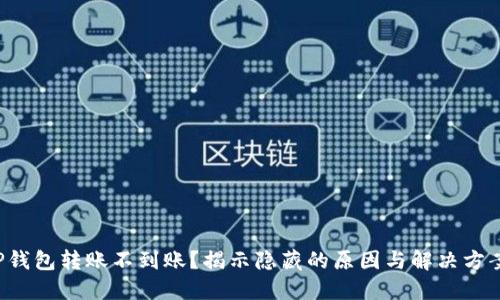 TP钱包转账不到账?揭示隐藏的原因与解决方案!